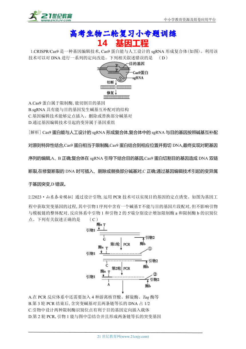 高考生物二轮复习小专题训练：14　基因工程（解析版）