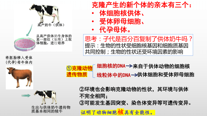 2.2.3动物体细胞核移植技术和克隆动物课件（共30张PPT）-人教版选择性必修3