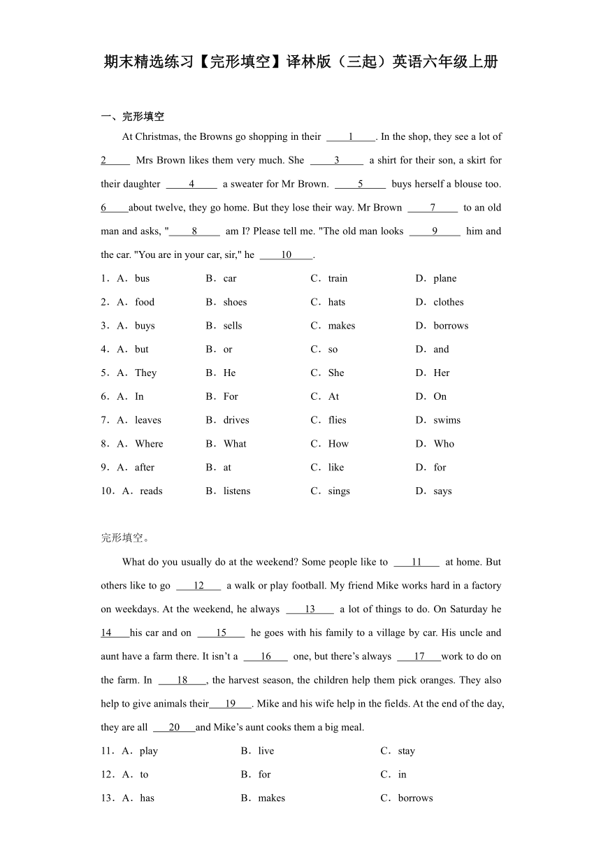 译林版（三起）英语六年级上册期末完形填空（试题）（无答案）