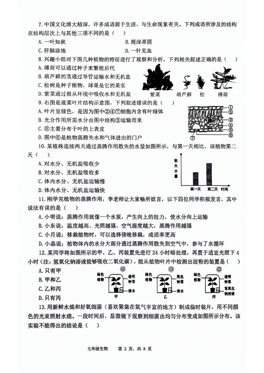 山东省滨州市滨城区2023-2024学年七年级上学期期末考试生物试题（PDF版  含答案）