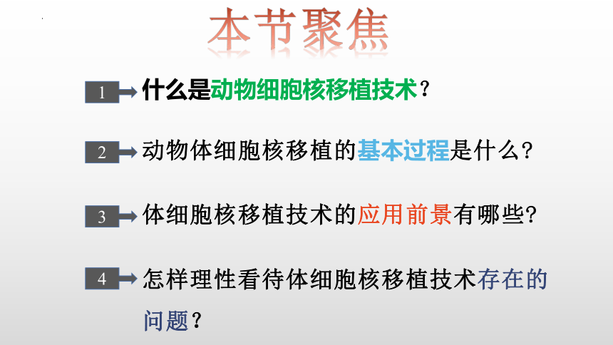 2.2.3动物体细胞核移植技术和克隆动物课件（共30张PPT）-人教版选择性必修3