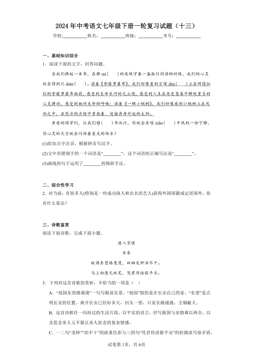 2024年中考语文七年级下册一轮复习试题（十三）（含答案）