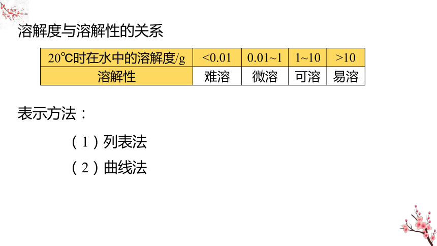 2024年化学中考第一轮复习专题13 溶解度及溶解度曲线课件(共27张PPT)