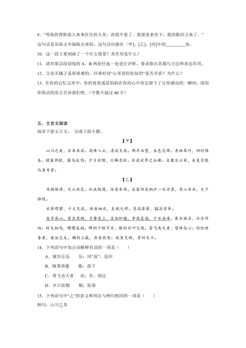 2024年中考语文八年级上册一轮复习试题（二）（含答案）