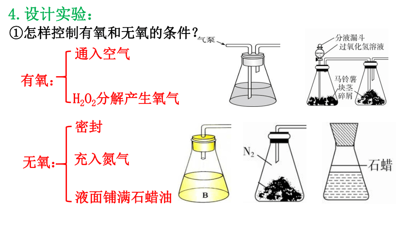 5.3细胞呼吸的原理和应用（共35张ppt）生物人教版（2019）必修1