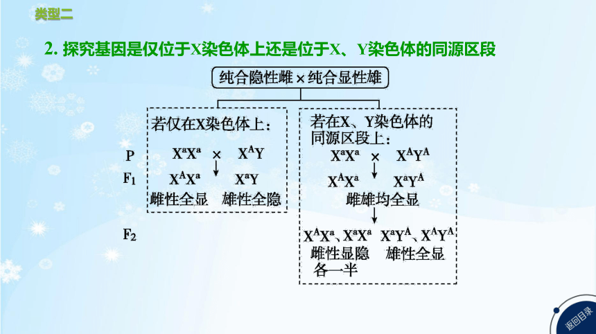 高考生物二轮复习微专题3　遗传实验分析与设计(共51张PPT)