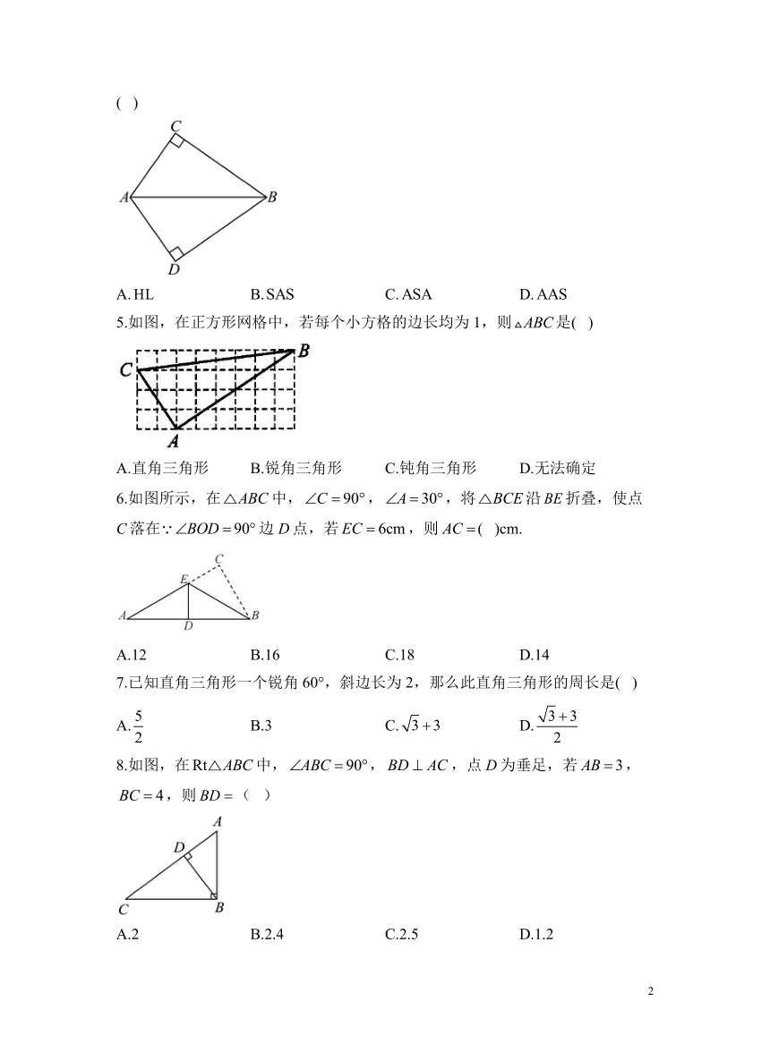 （11）直角三角形——2023-2024学年八年级数学北师大版寒假巧练习（含解析）