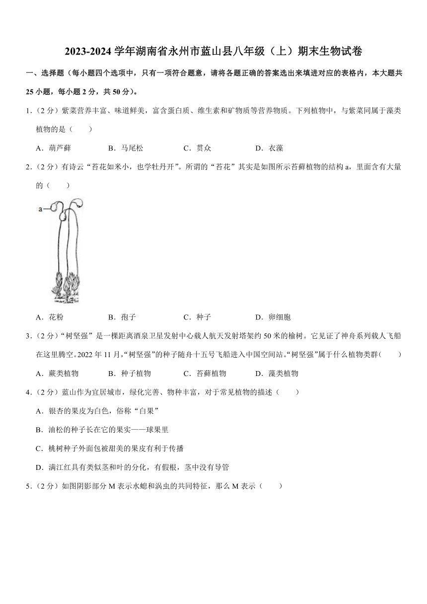 2023-2024学年湖南省永州市蓝山县八年级（上）期末生物试卷（含解析）