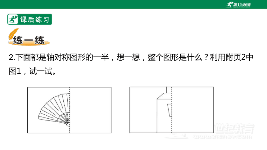 北师大版三下2.2《轴对称（二）》习题课件