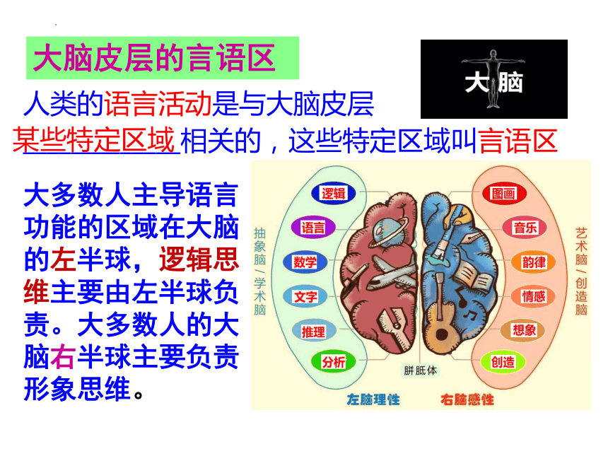 2.5 人脑的高能功能(共25张PPT)课件--人教版2019选择必修1