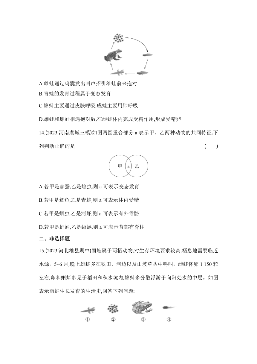 7.1.3两栖动物的生殖和发育同步练习（含解析）人教版八年级下册生物