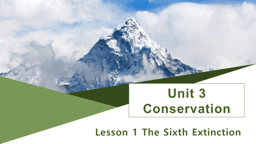 北师大版（2019）选择性必修 第一册Unit 3 Conservation  Lesson 1 The Sixth Extinction  课件（共20张ppt