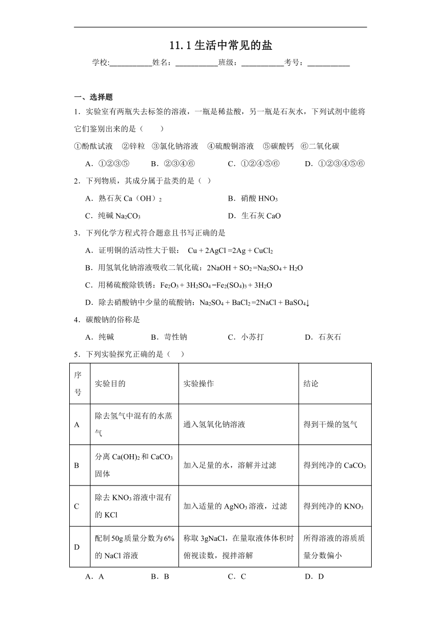 11.1生活中常见的盐巩固练习 (含解析)  人教版化学九年级下册