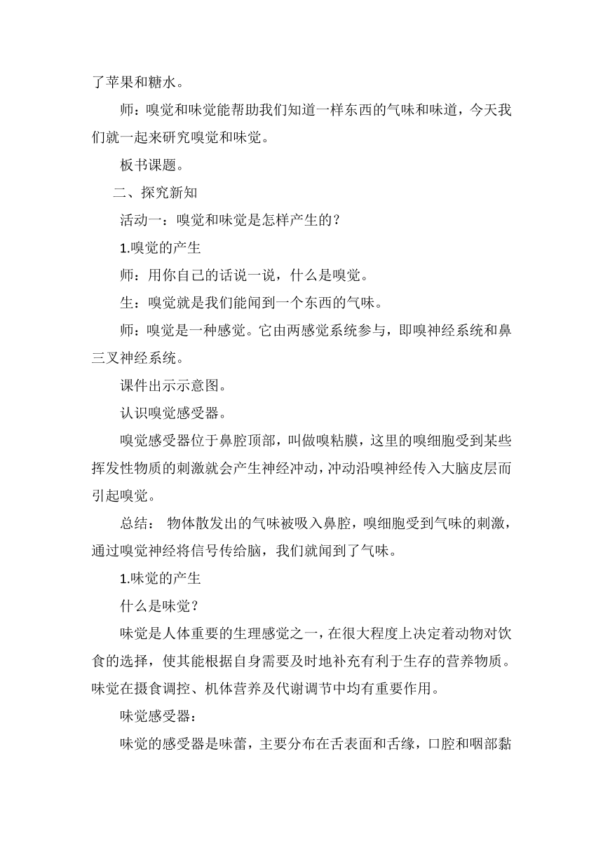 2023-2024学年六年级科学下册（青岛版）第4课 嗅觉和味觉（教案）