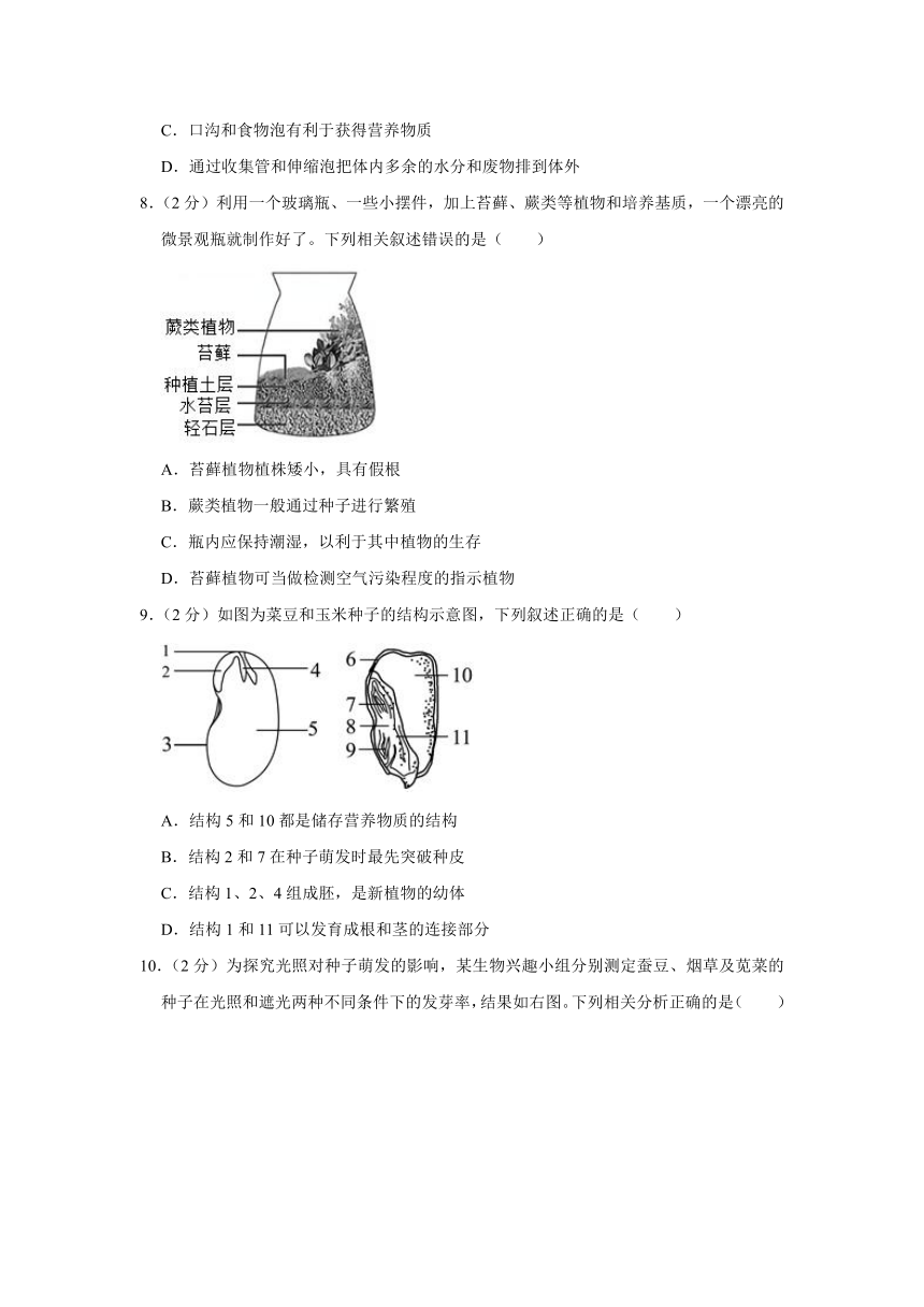 山东省临沂市河东区2023-2024学年七年级上学期期末生物试卷（含解析）