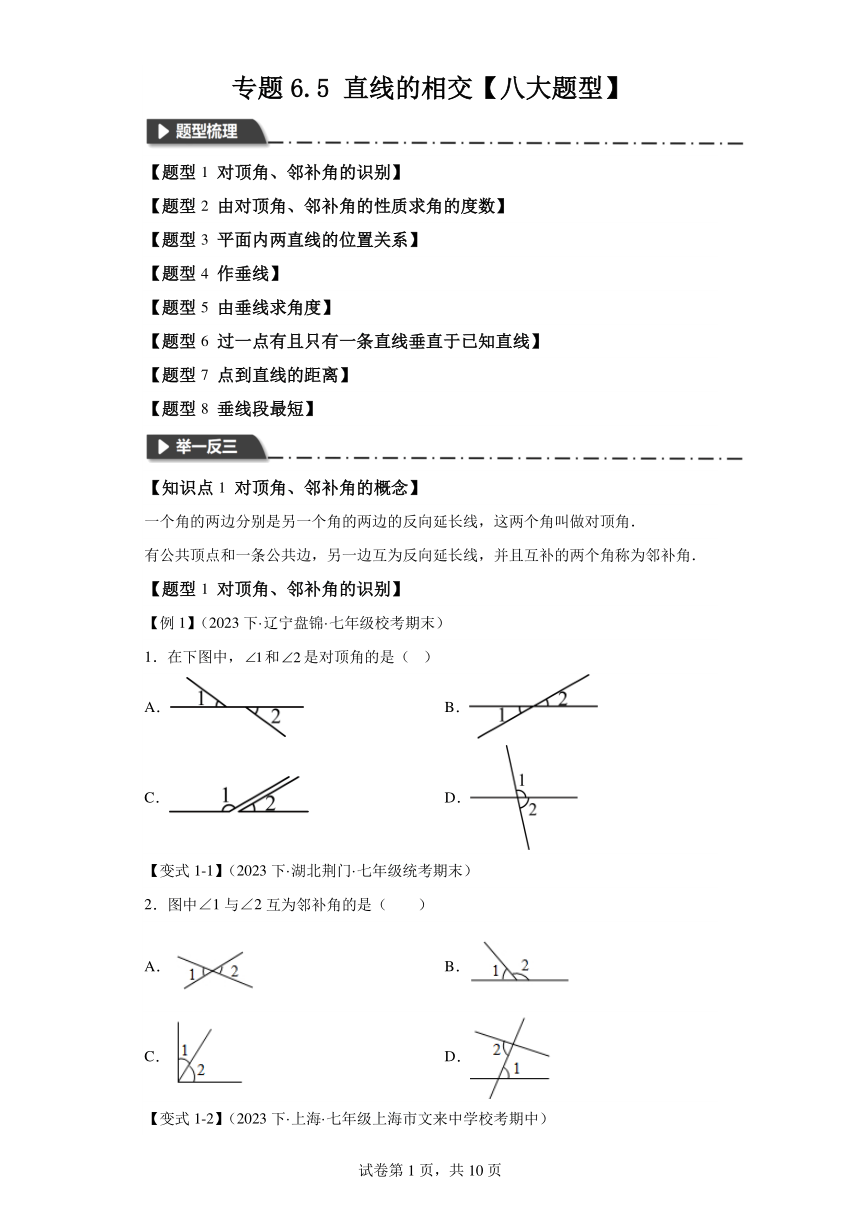 专题6.9直线的相交【八大题型】 浙教版七年级数学上册举一反三系列（含解析）