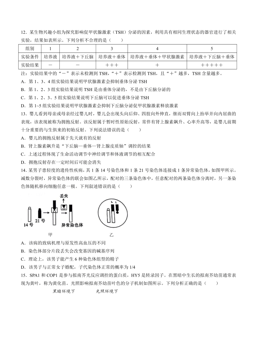 福建省十一校2023-2024学年高三上学期1月期末联考生物学试题（含答案）