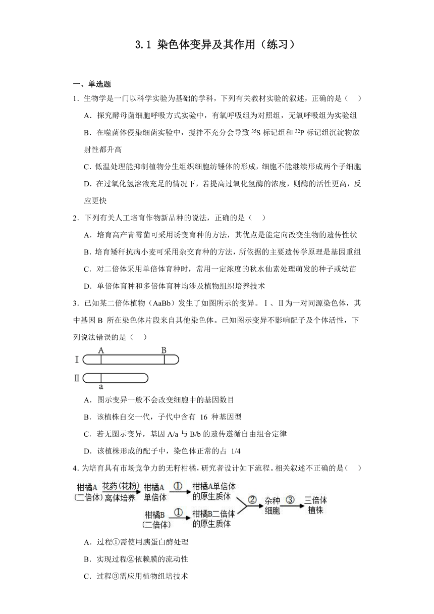 3.1染色体变异及其作用（同步练习）2023-2024学年高中生物（苏教版必修2）（解析版）