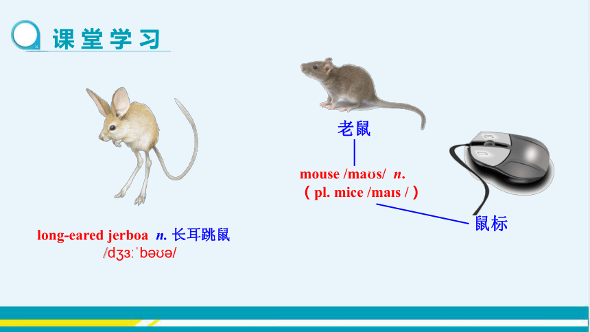 UNIT3 Lesson 14 教学课件--冀教版初中英语八年级下