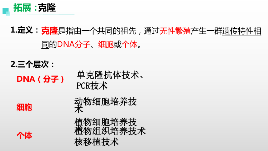 2.2.3动物体细胞核移植技术和克隆动物课件（共30张PPT）-人教版选择性必修3