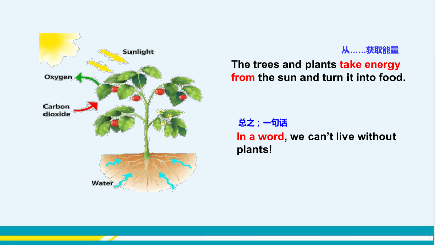 UNIT2 Lesson 8 教学课件--冀教版初中英语八年级下