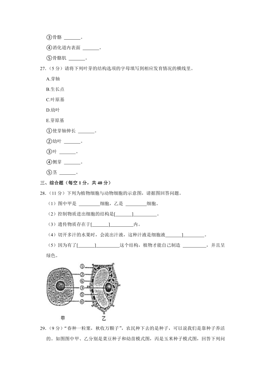 河北省廊坊市广阳区2023-2024学年七年级上学期期末生物试卷（含解析）