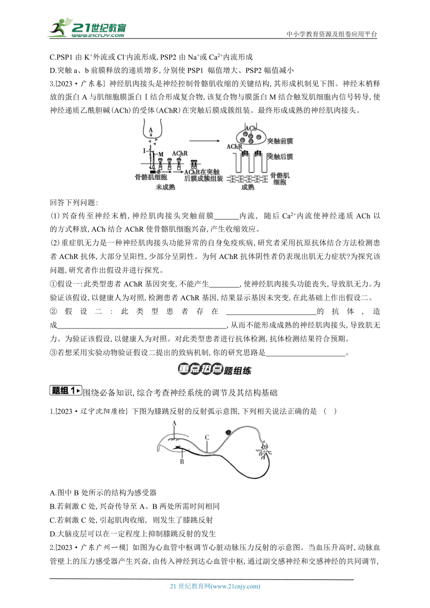 高考生物二轮复习专题学案：8内环境稳态及神经（含解析）