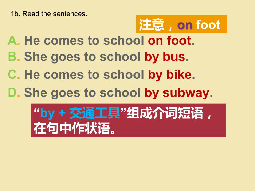 Unit 5 Our school life Topic 1 Section A课件 仁爱版英语七年级下册(共27张PPT，无素材)