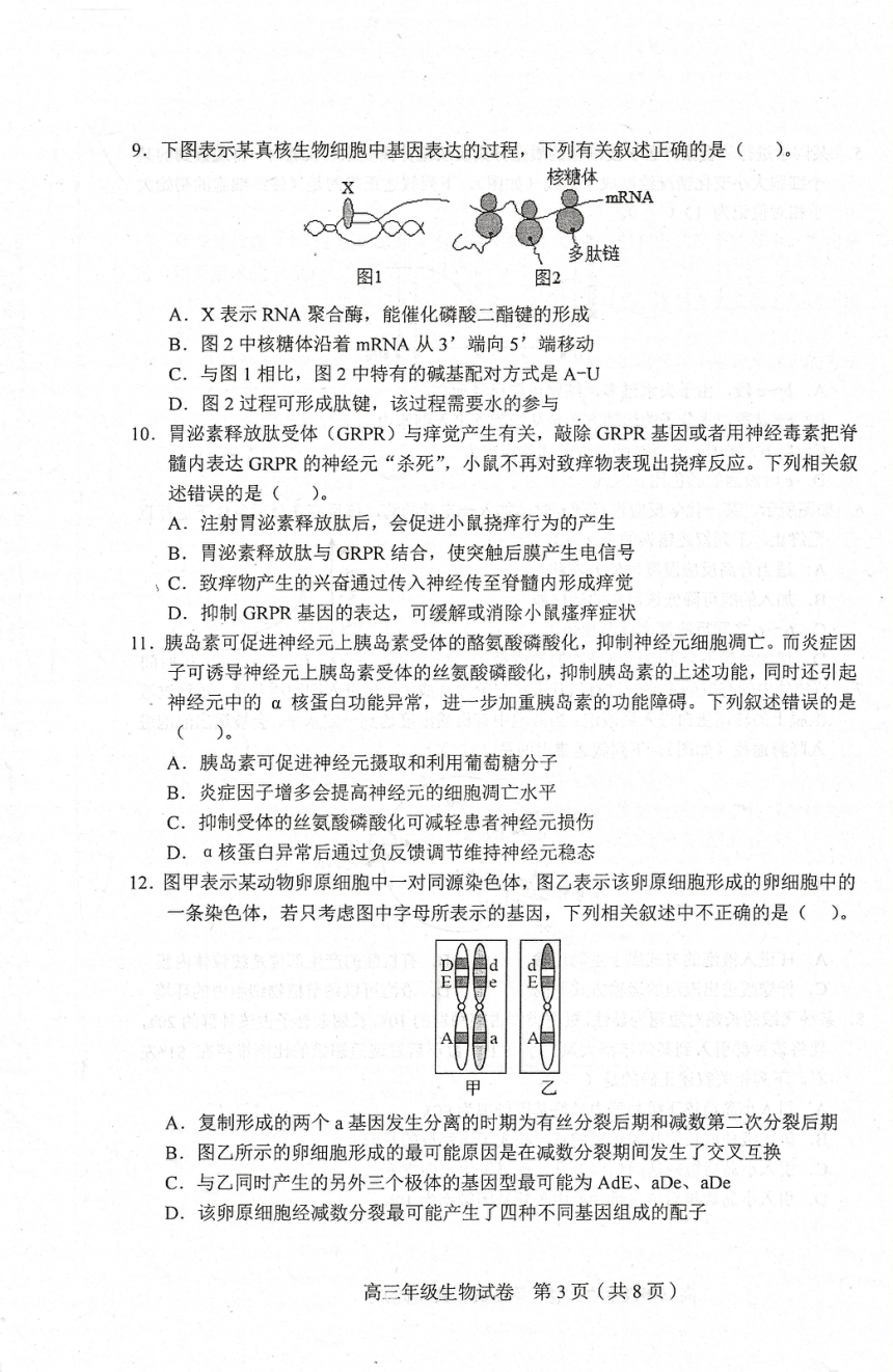 天津市和平区2023-2024学年高三年级期末生物试卷（含答案）