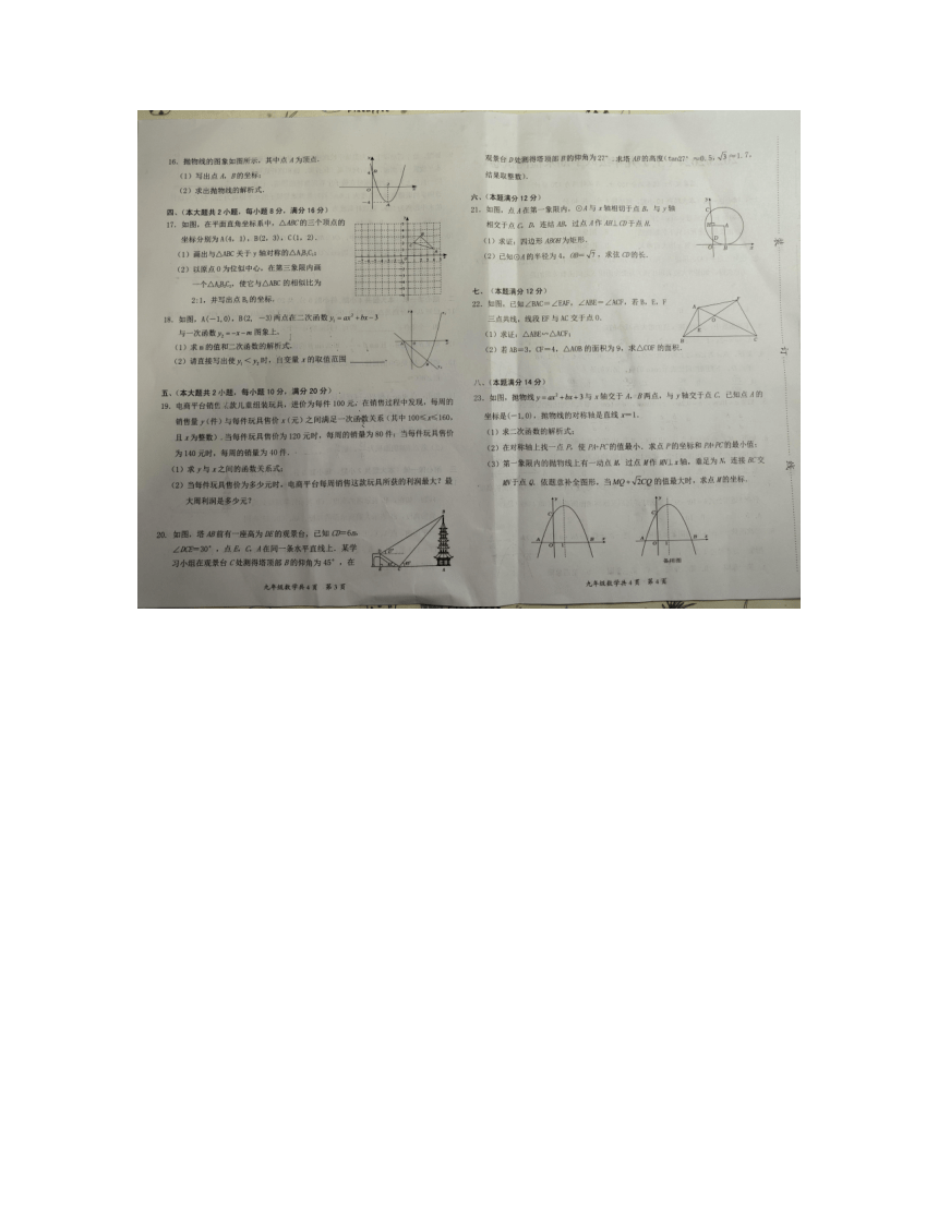 2023-2024学年安徽省阜阳市临泉县九年级（上）期末数学试卷（图片版含答案）