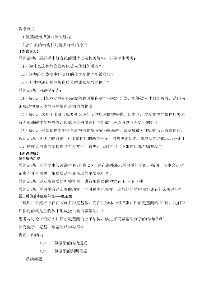 2.4蛋白质是生命活动的主要承担者的教案