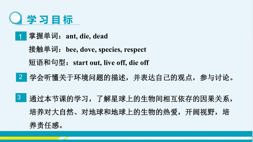 UNIT8 Lesson 47教学课件--冀教版初中英语八年级下