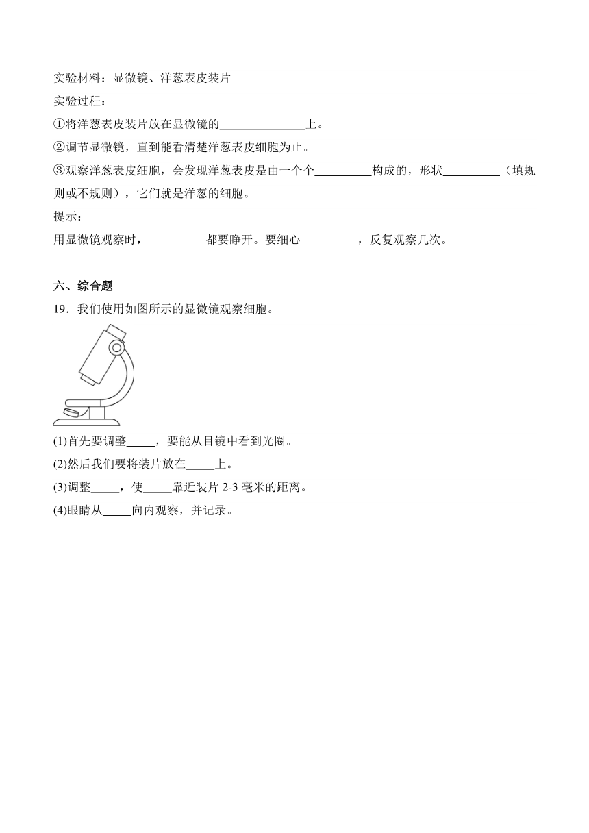 五年级科学下册（冀人版）第12课 观察细胞（同步阶段练习）（含解析）