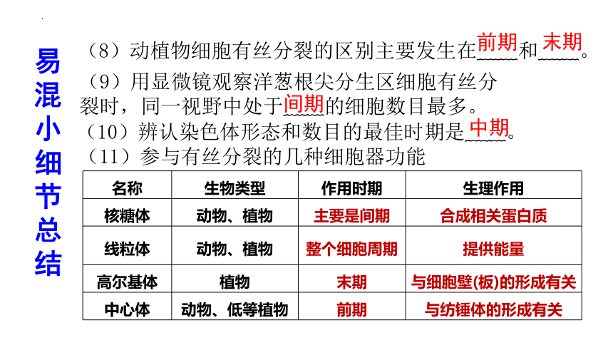 第6章 细胞的生命历程（复习课件）-(共38张PPT)2023-2024学年高一上学期生物人教版必修1