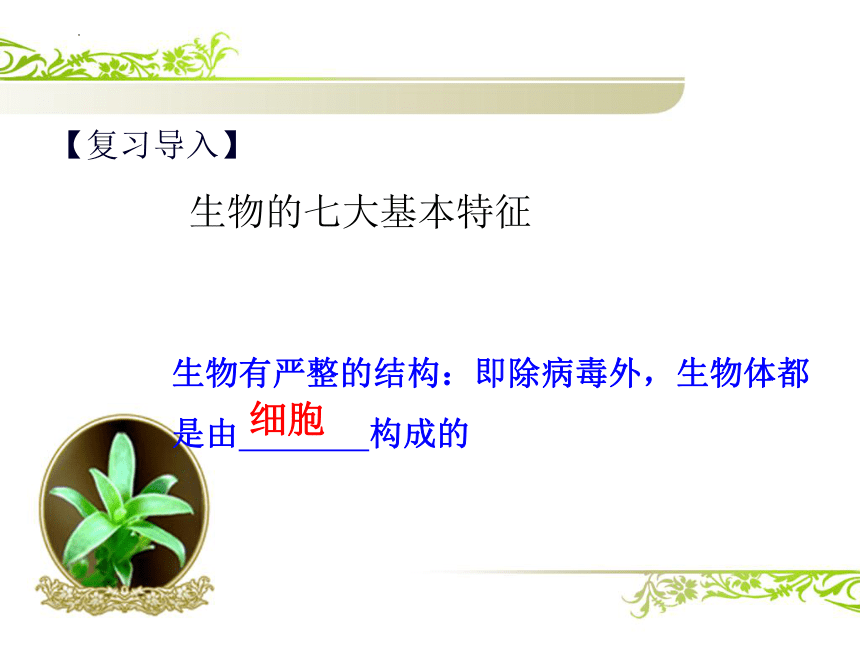 1.2.1细胞的结构和功能课件（共37张PPT） 济南版生物七年级上册