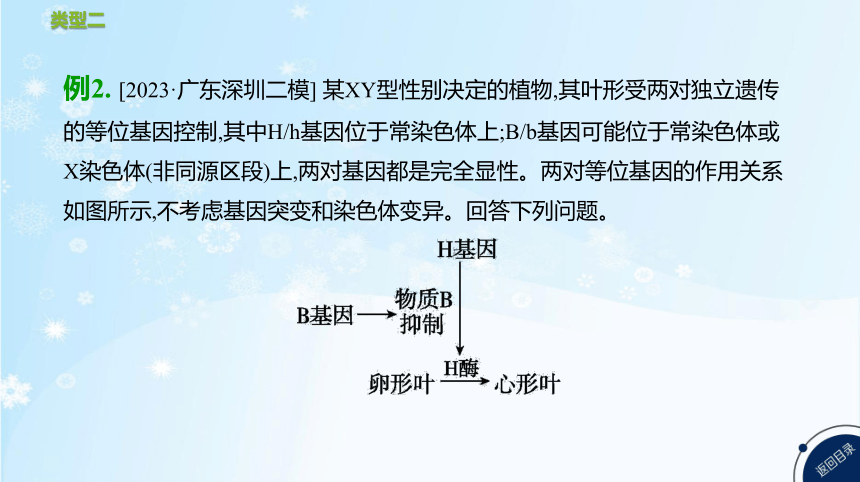 高考生物二轮复习微专题3　遗传实验分析与设计(共51张PPT)