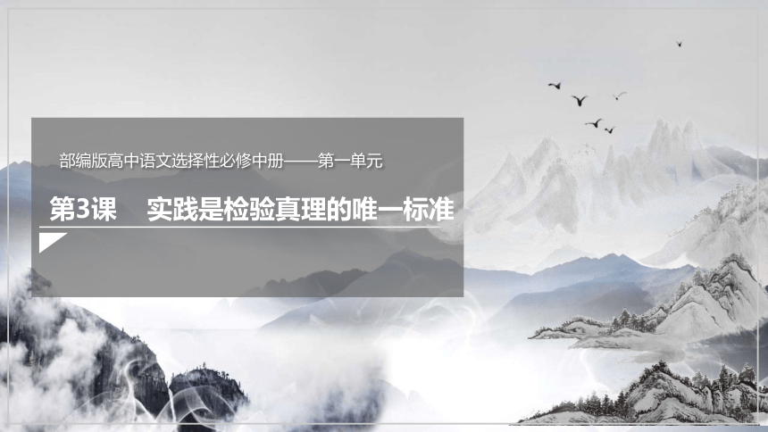 3 《实践是检验真理的唯一标准》 课件(共26张PPT) 2023-2024学年高二语文部编版选择性必修中册