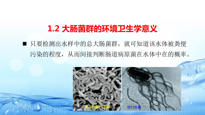 5.10总大肠菌群的测定 课件(共29张PPT)-《水环境监测》同步教学（高教版）