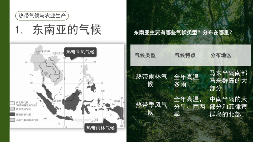 《东南亚》同步课件-第七章第二节