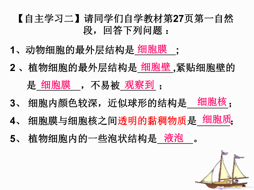 1.2.1细胞的结构和功能课件（共37张PPT） 济南版生物七年级上册