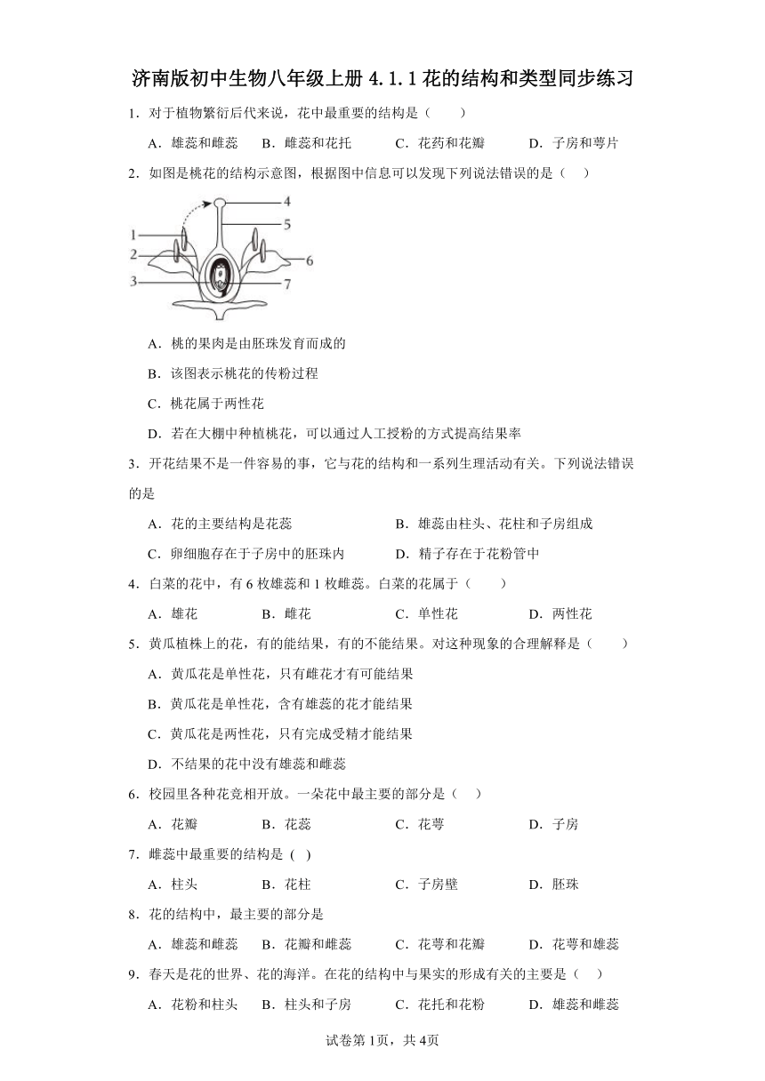 4.1.1花的结构和类型同步练习（含答案）济南版初中生物八年级上册