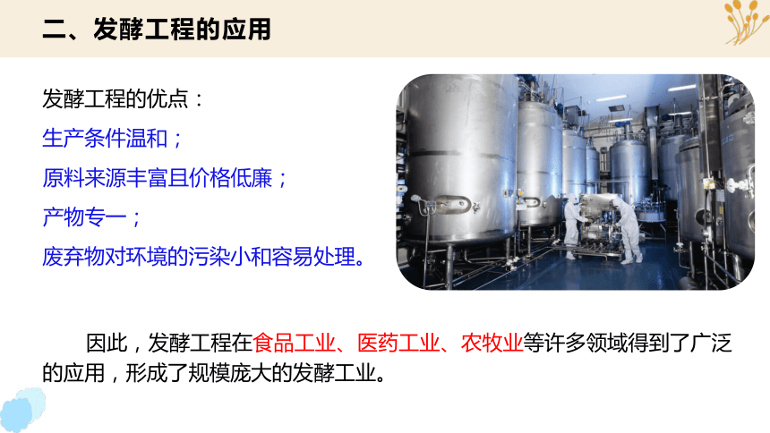 1.3 发酵工程及其应用(共28张PPT)