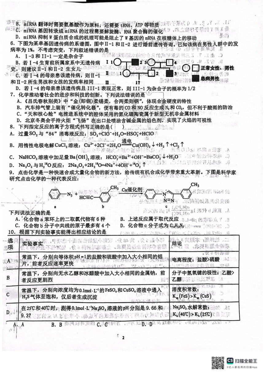 四川省成都市树德中学2023-2024学年高三下学期开学考试理科综合试题（扫描版含答案）