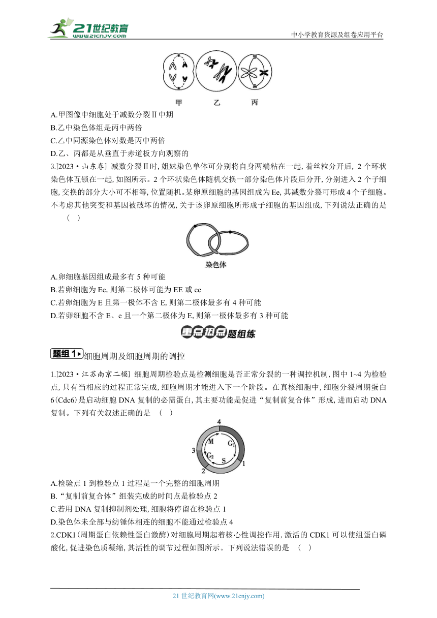 高考生物二轮复习专题学案：4 细胞的生命历程（含解析）