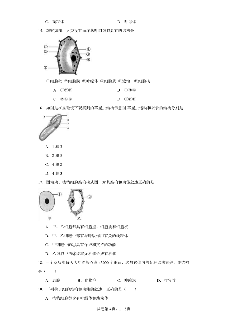 1.2.1细胞的结构和功能同步练习（含答案）济南版初中生物七年级上册