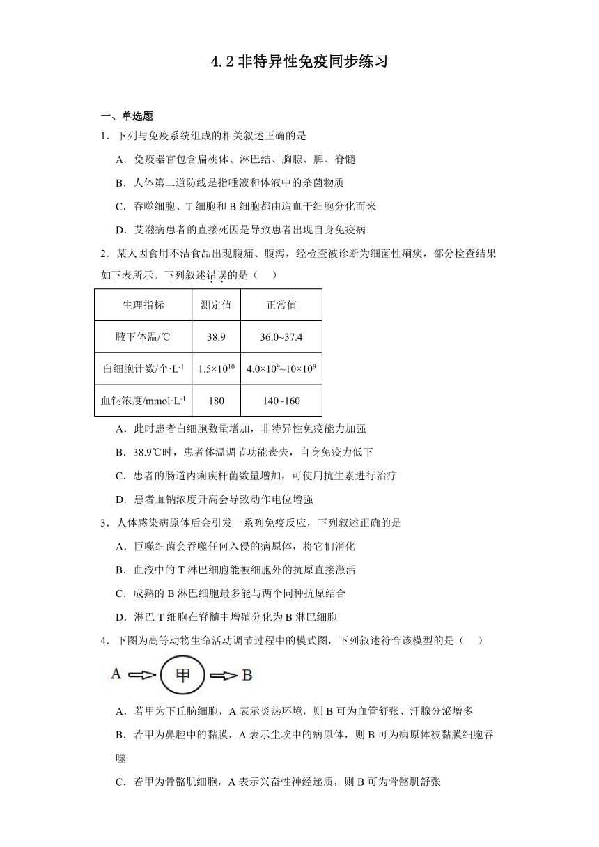 4.2非特异性免疫同步练习2023-2024学年高二上学期生物北师大版选择性必修1（解析版）