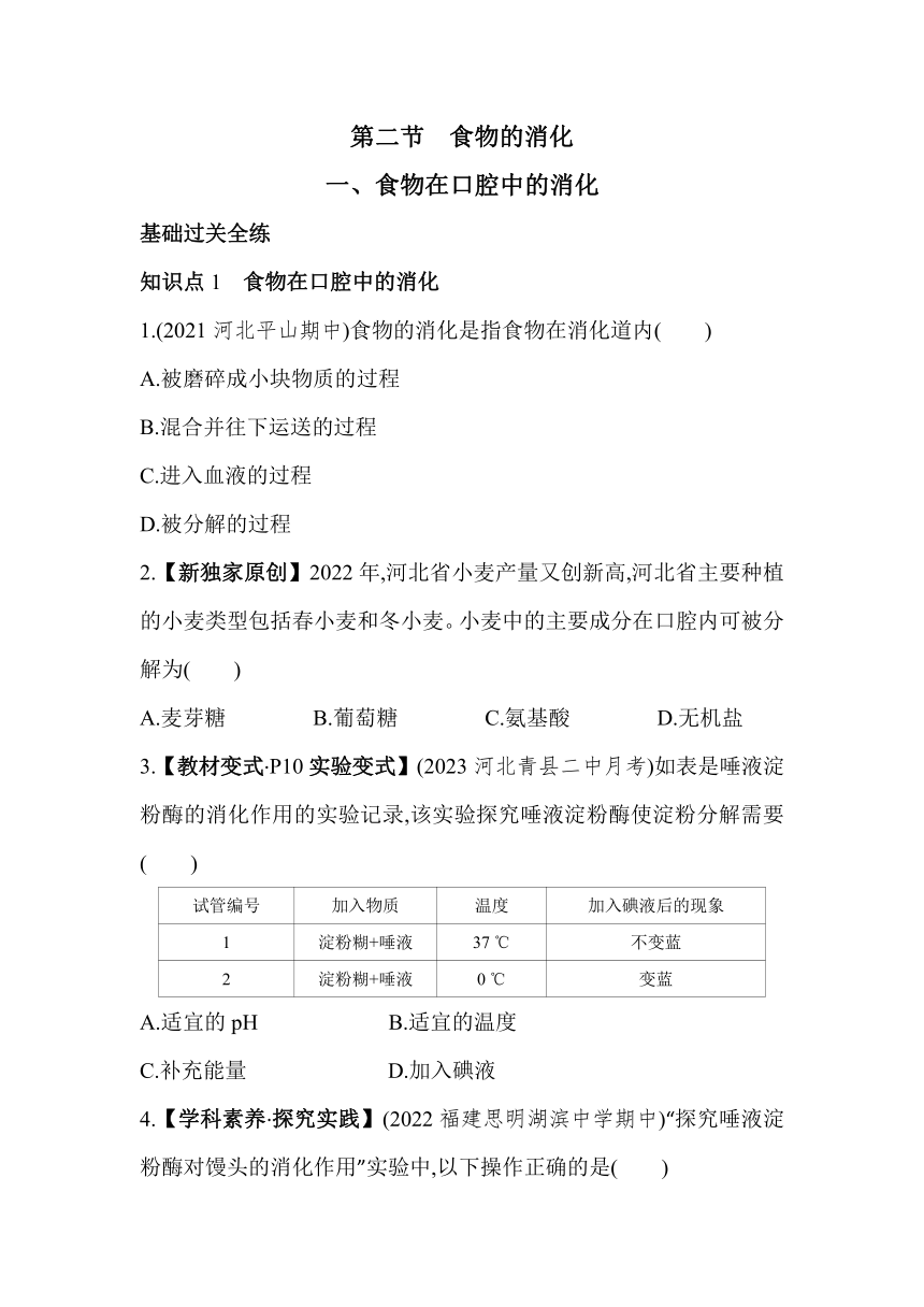 2.1.2 食物在口腔中的消化素养提升练习（含解析）冀少版七年级下册生物