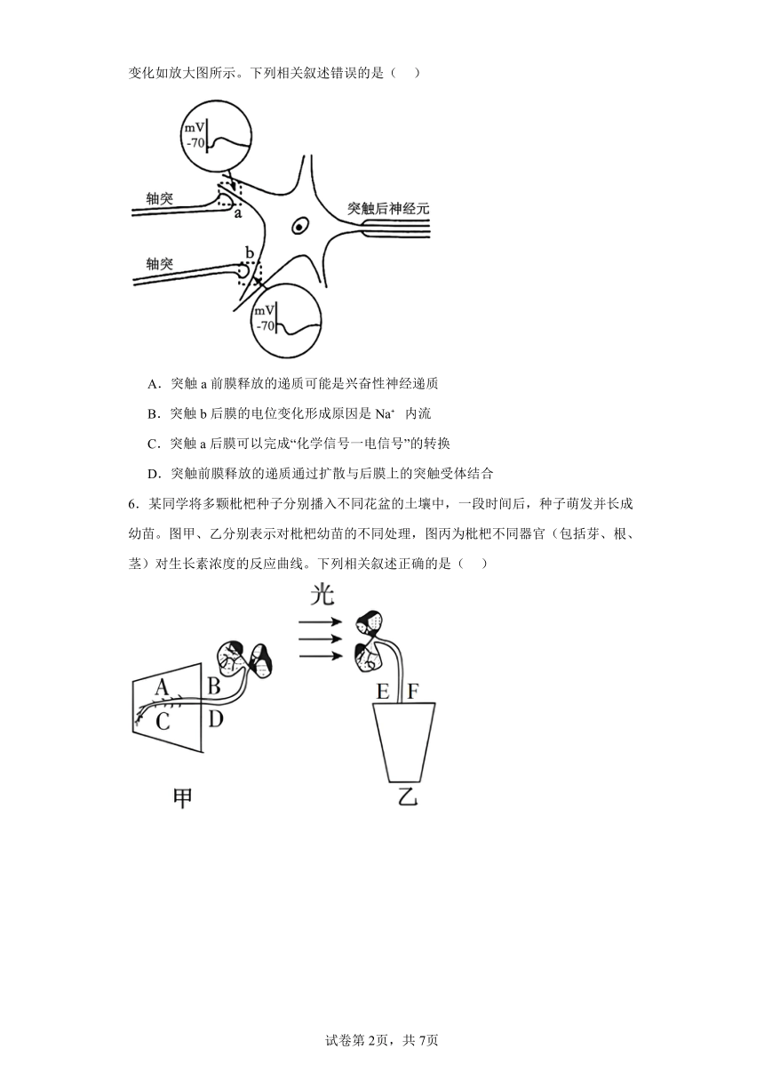 2024届陕西省商洛市高三下学期尖子生学情诊断考试（第二次）理综生物试题（含解析）