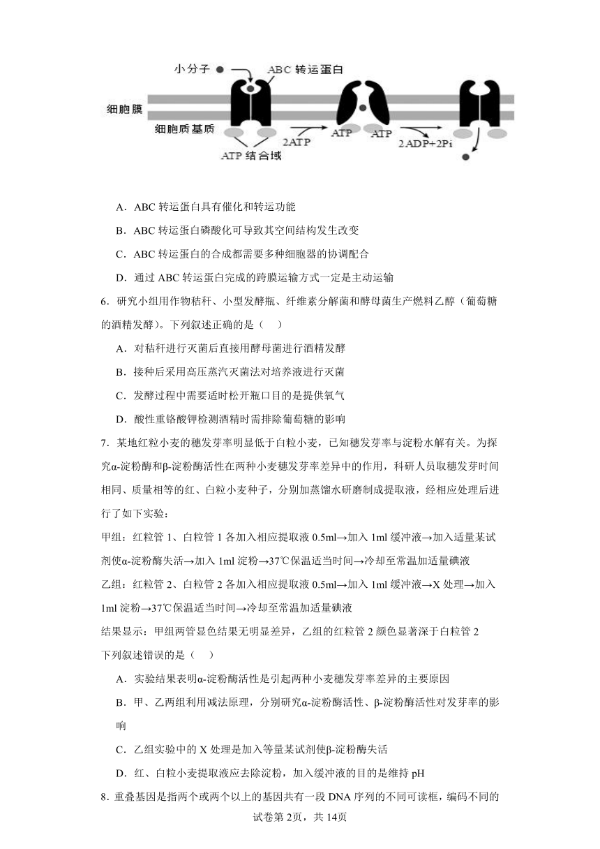 浙江省五校联盟2023-2024学年下学期高三3月联考生物模拟试题（含解析）