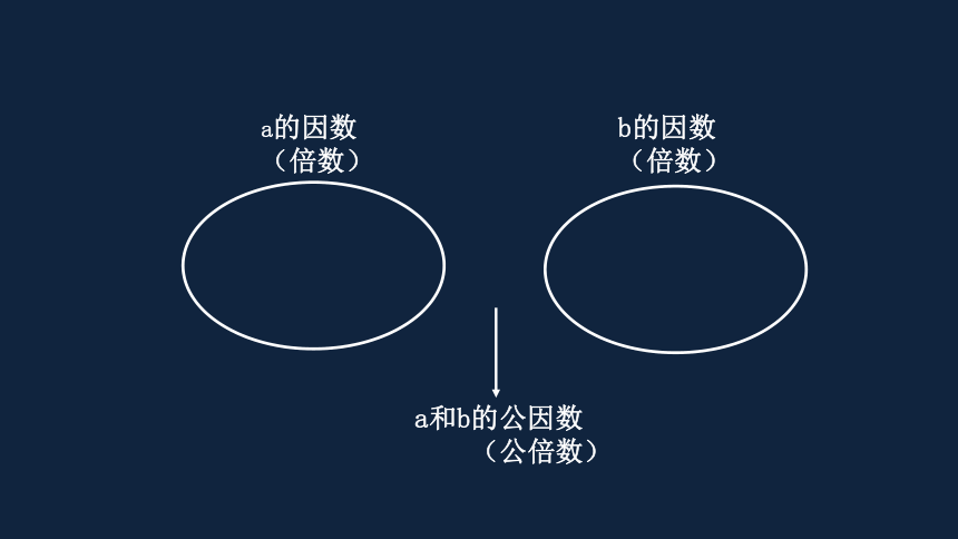 第三单元知识点梳理与练习(2)课件（共21张PPT) 五年级下册数学 苏教版